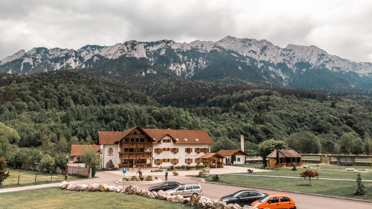 Popasul Craiului Vila Zărneşti Exterior foto