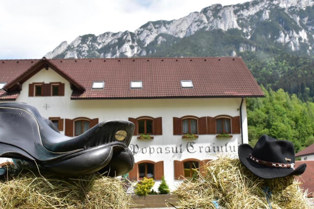 Popasul Craiului Vila Zărneşti Exterior foto