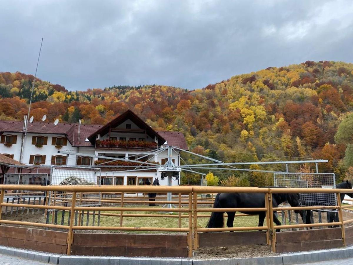 Popasul Craiului Vila Zărneşti Exterior foto