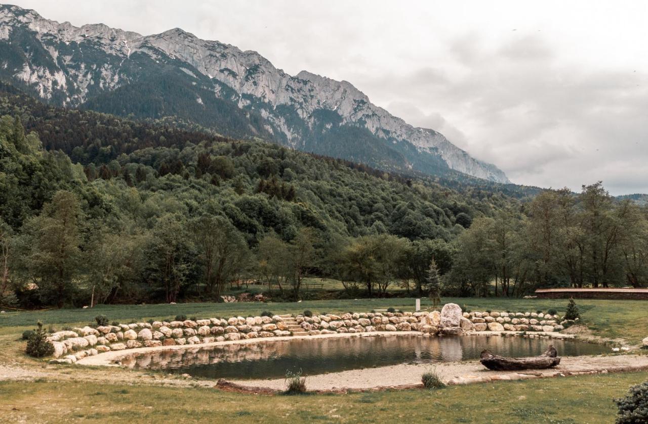 Popasul Craiului Vila Zărneşti Exterior foto